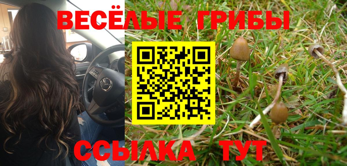 Уварово  наркотики  Вход с VPN  Галлюциногенные грибы Psilocybine cubensis  Псилоцибиновые грибы Psilocybe 
